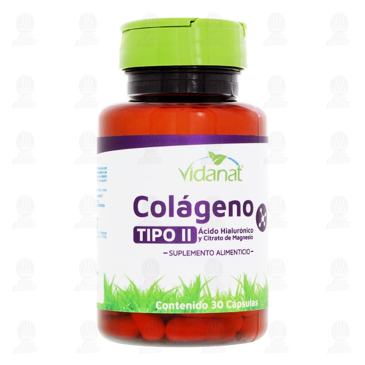 Suplemento Alimenticio Vidanat Col&aacute;geno Tipo II, 30 C&aacute;psulas. image number 0