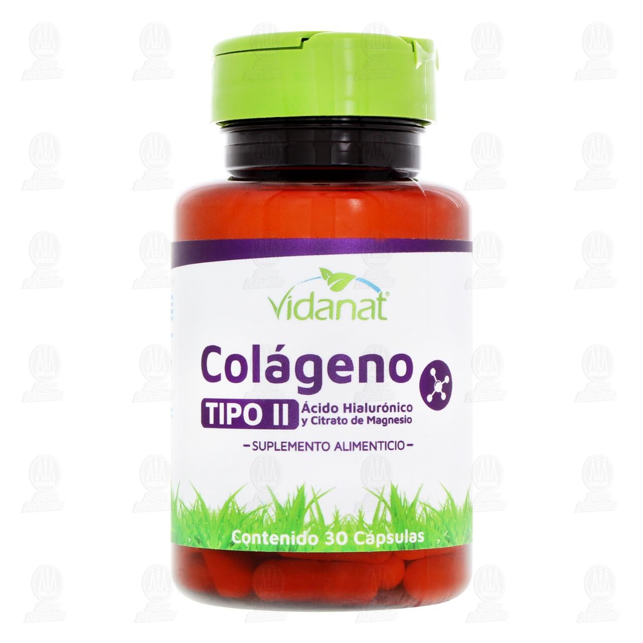 Suplemento Alimenticio Vidanat Col&aacute;geno Tipo II, 30 C&aacute;psulas. image number 1