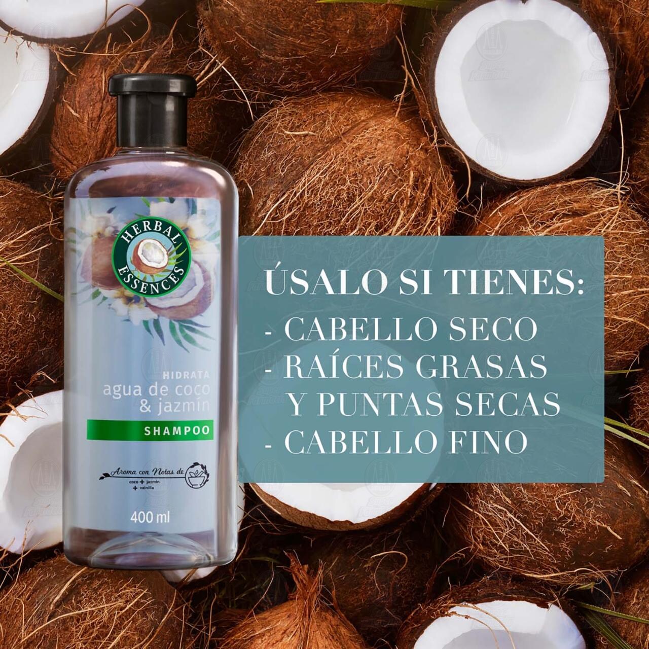 Shampoo Herbal Essences Hidrata Agua de Coco & Jazm&iacute;n, 400 ml. image number 2
