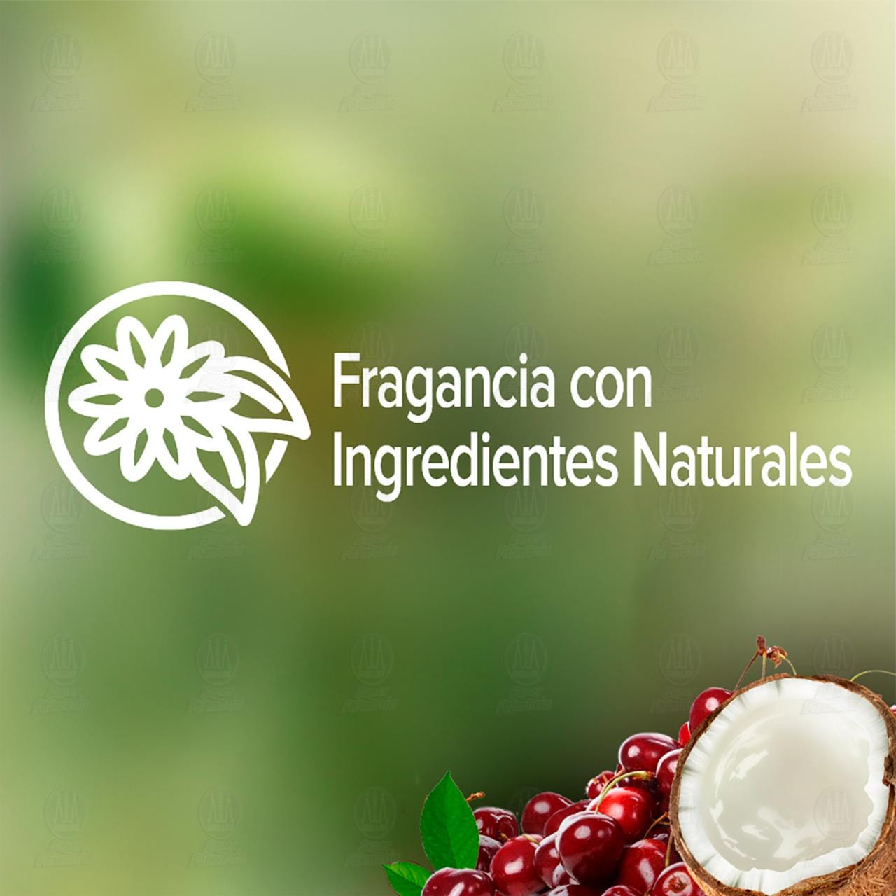 Jab&oacute;n L&iacute;quido Corporal Palmolive Naturals Renovaci&oacute;n Nutritiva, 390 ml. image number 2