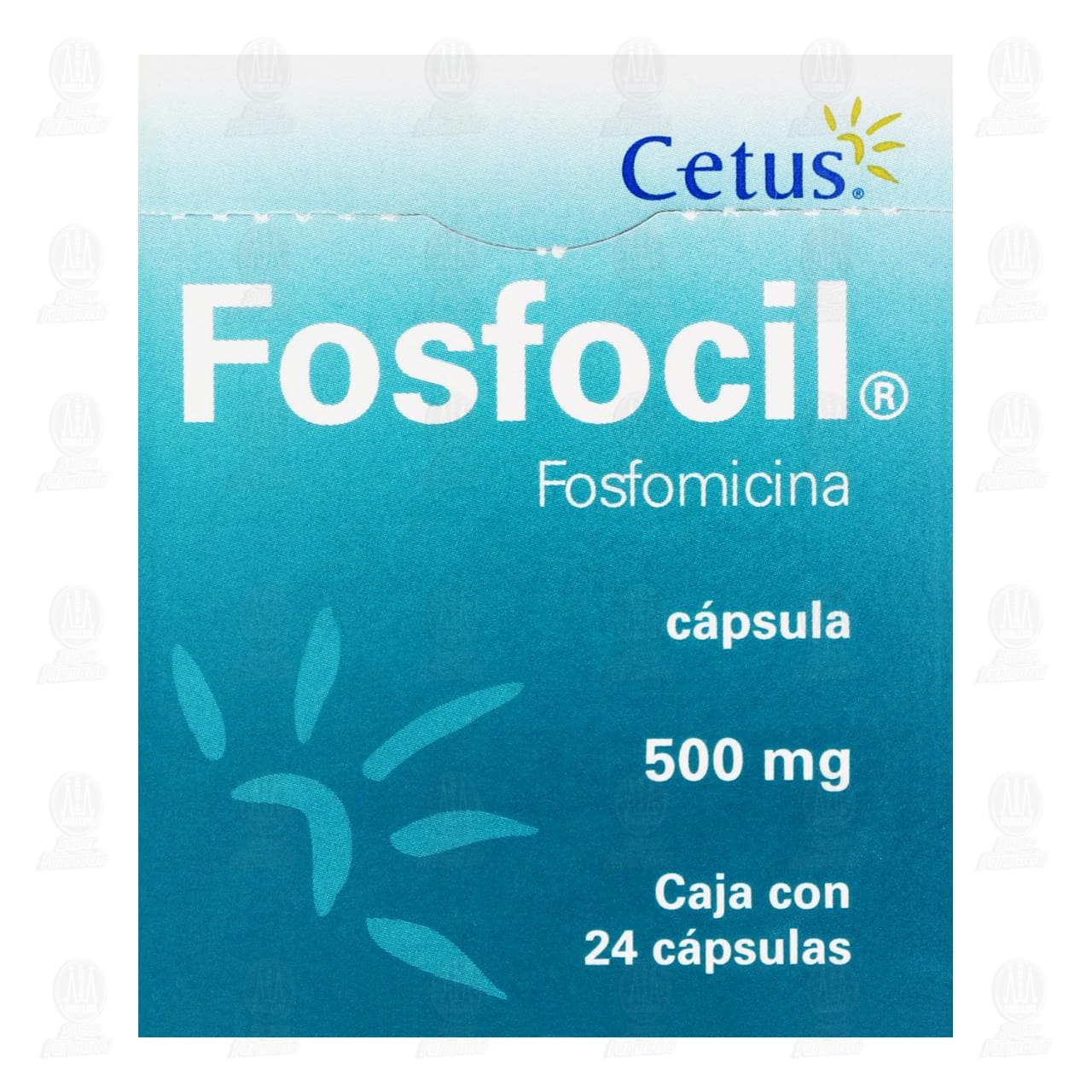 Fosfocil 500 mg, 24 C&aacute;psulas. image number 1