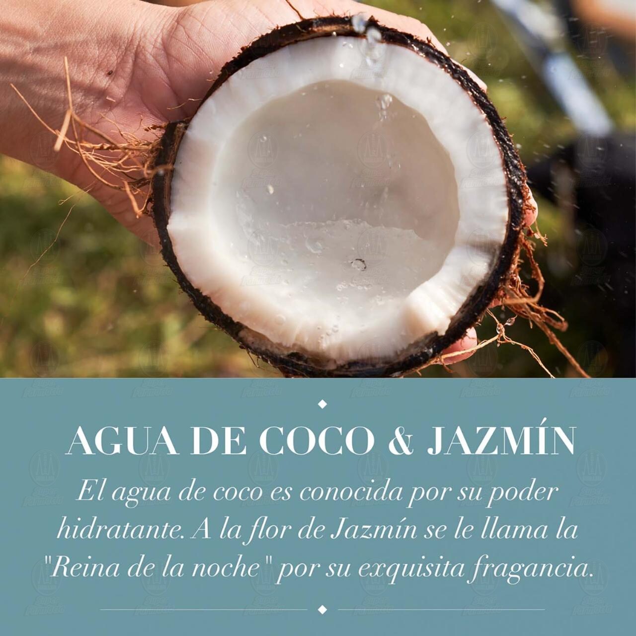 Acondicionador Herbal Essences Hidrata Agua de Coco & Jazm&iacute;n, 600 ml. image number 3