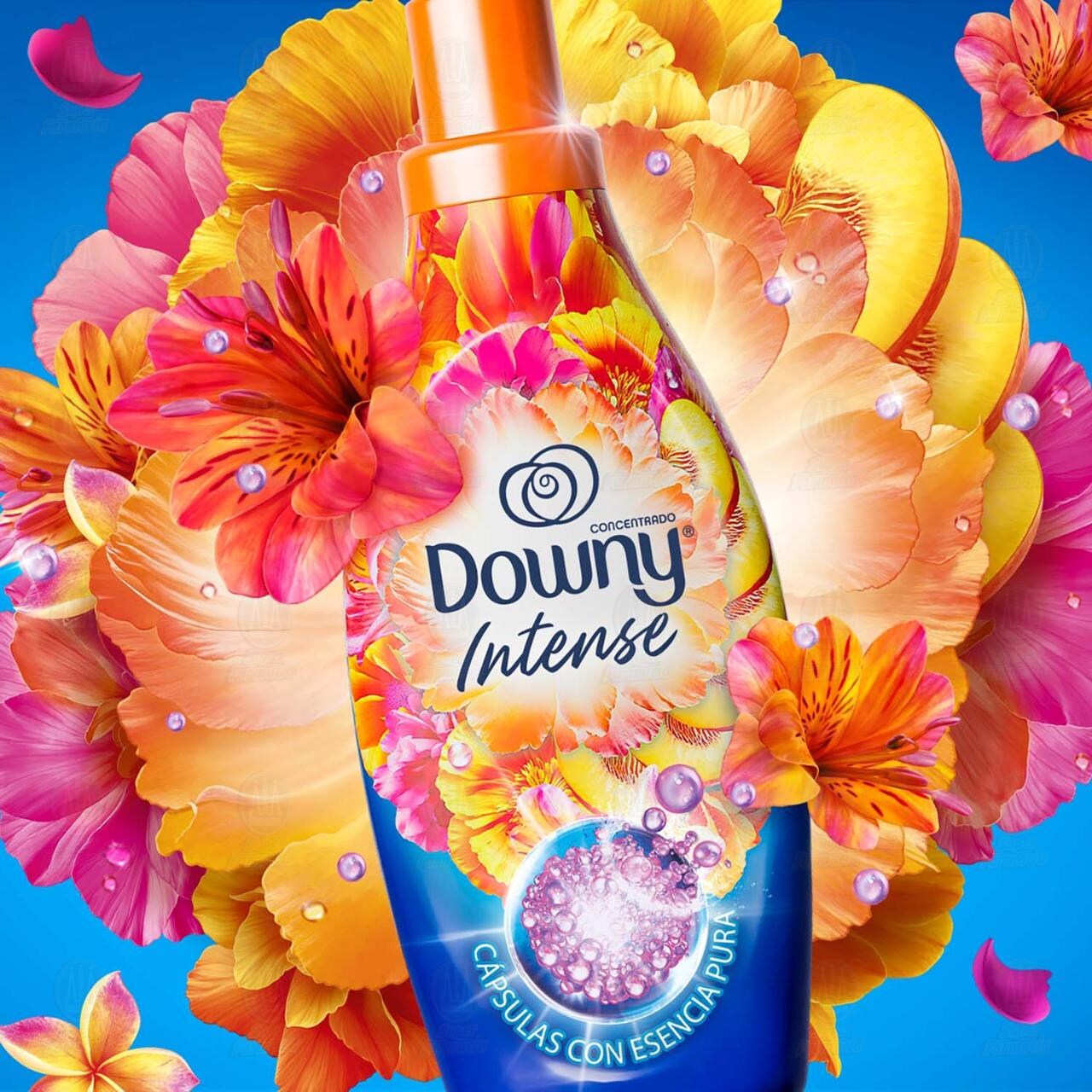 Suavizante de Telas Downy Intense Ex&oacute;tico, 1.4l. image number 4