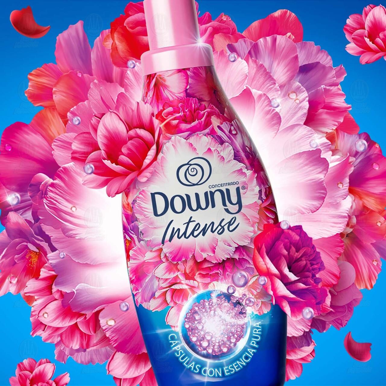 Suavizante de Telas Downy Intense Concentrado Floral, 540 ml. image number 4