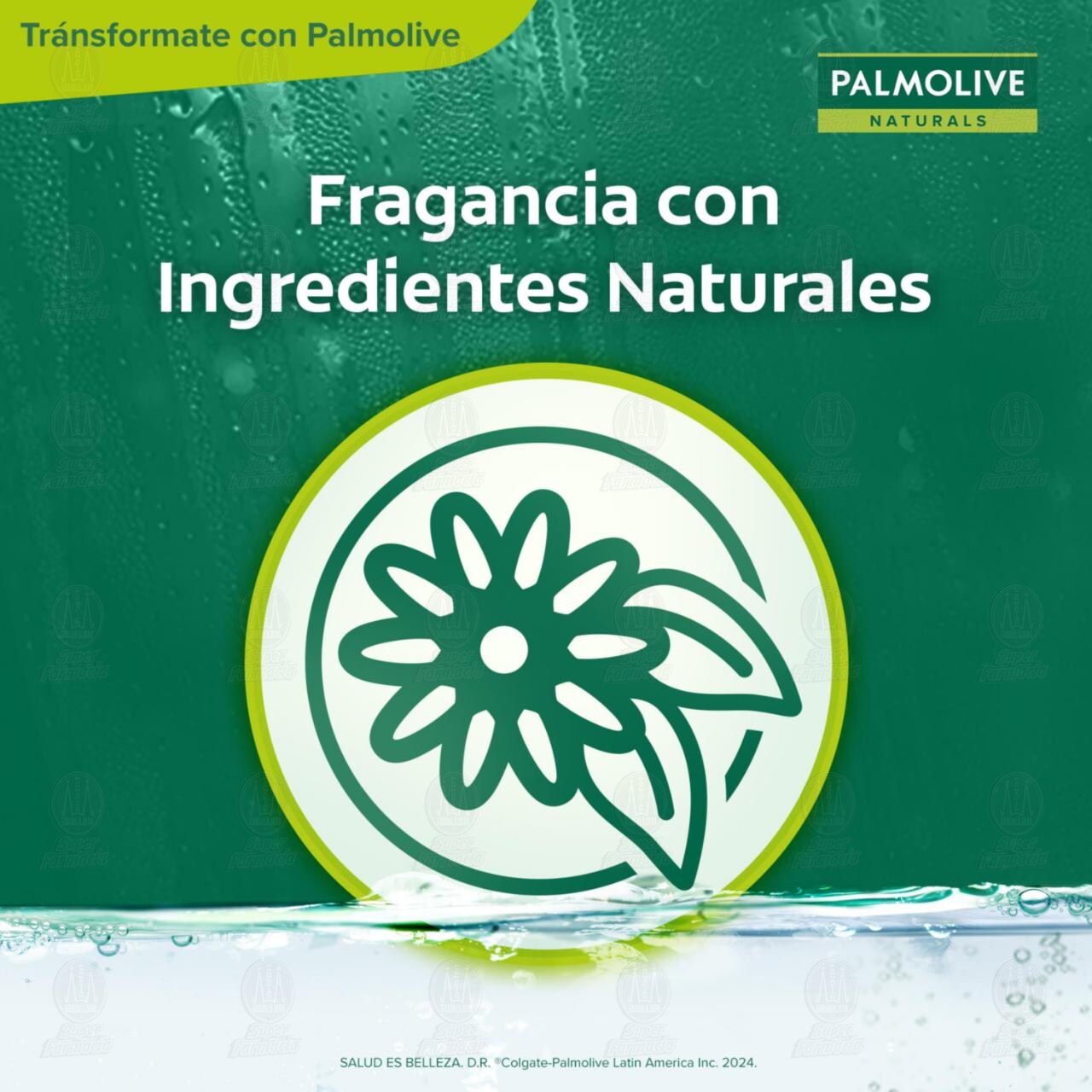 Pack Jab&oacute;n de Tocador Palmolive Naturals Yoghurt y Frutas Ahorra Pack, 4 pzas de 120 gr c/u. image number 3
