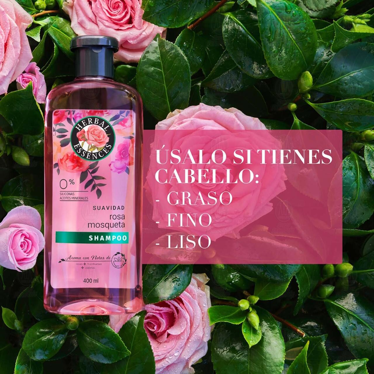 Pack Herbal Essences Shampoo Suavidad Rosa de 400 ml + Espuma Modeladora Cabello Rizo de 200 gr, 2 pzas. image number 3