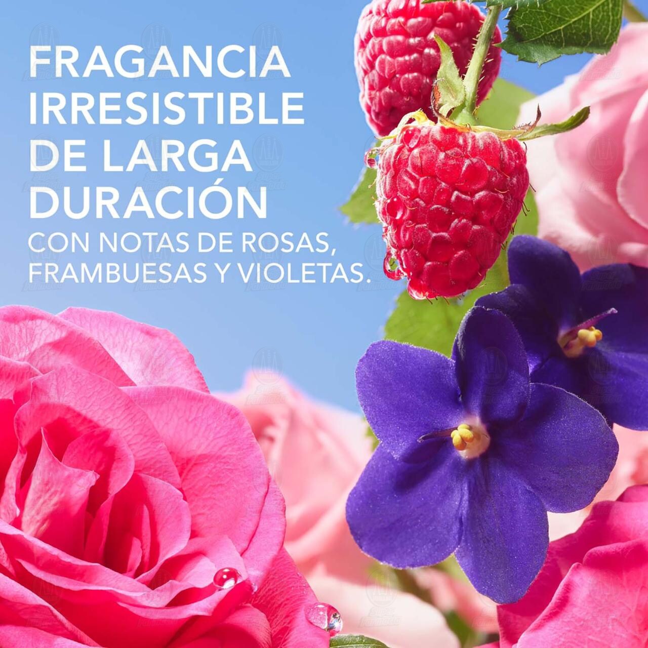 Mascarilla Nutritiva Herbal Essences Suavidad y Brillo Rosa Mosqueta, 300 ml. image number 4