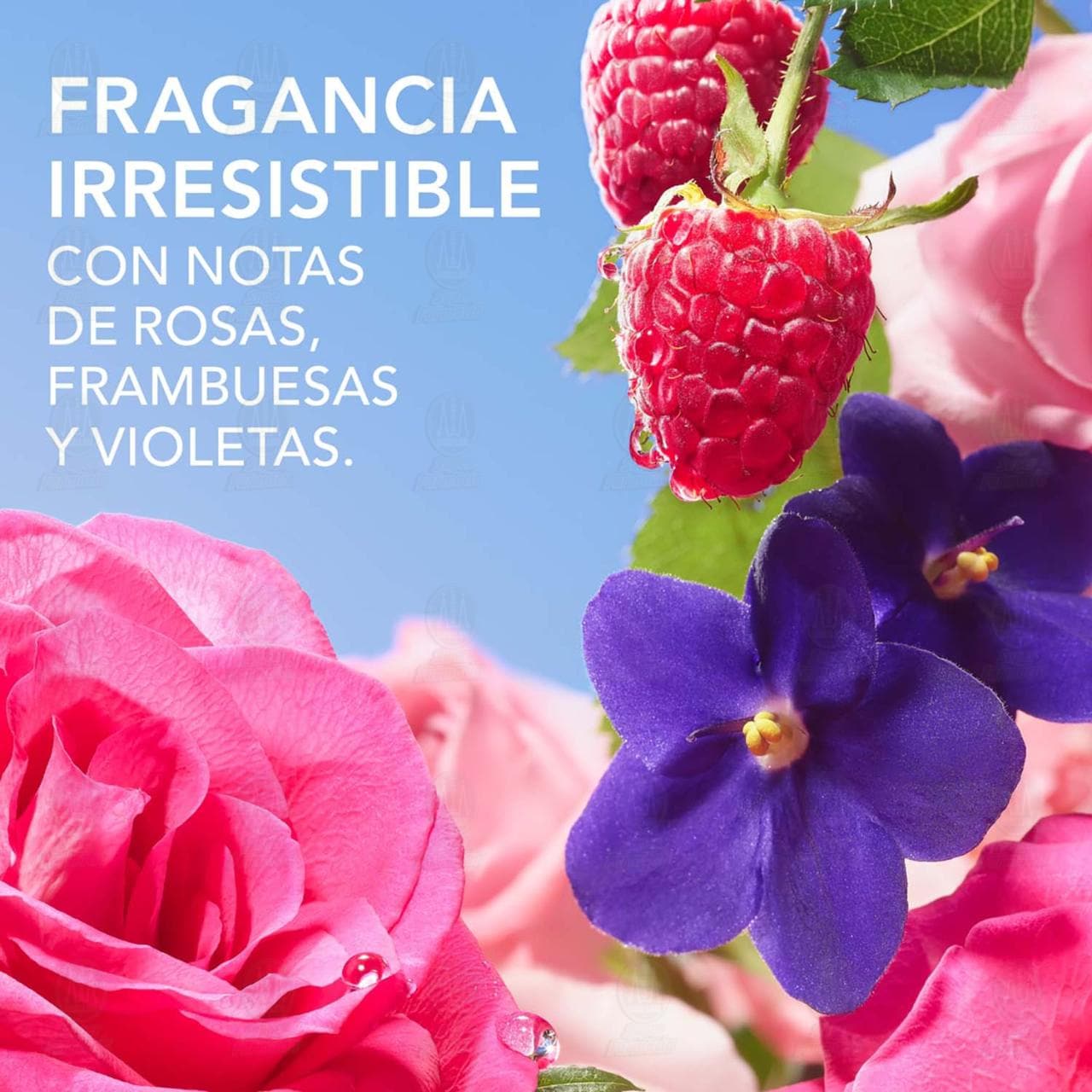 Shampoo Herbal Essences Suavidad Rosa Mosqueta, 240 ml. image number 3