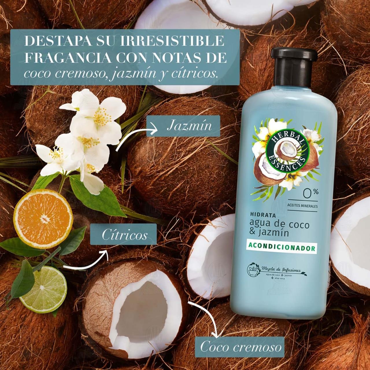 Acondicionador Herbal Essences Hidrata Agua de Coco & Jazm&iacute;n, 240 ml. image number 3