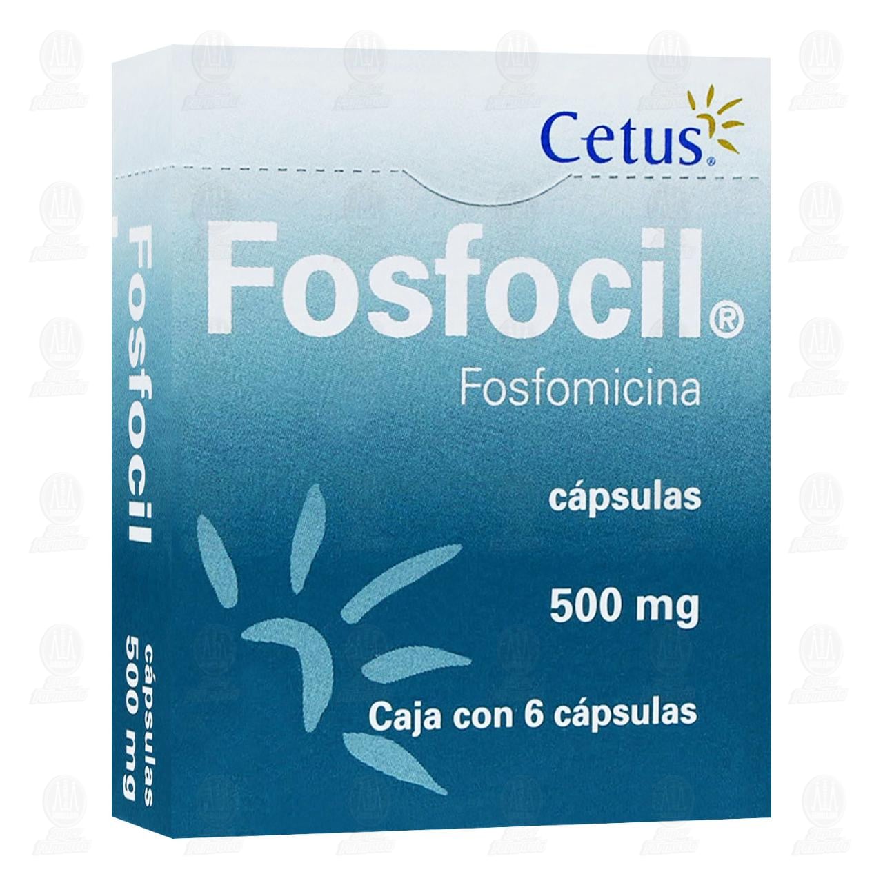 Fosfocil 500 mg, 6 C&aacute;psulas. image number 0