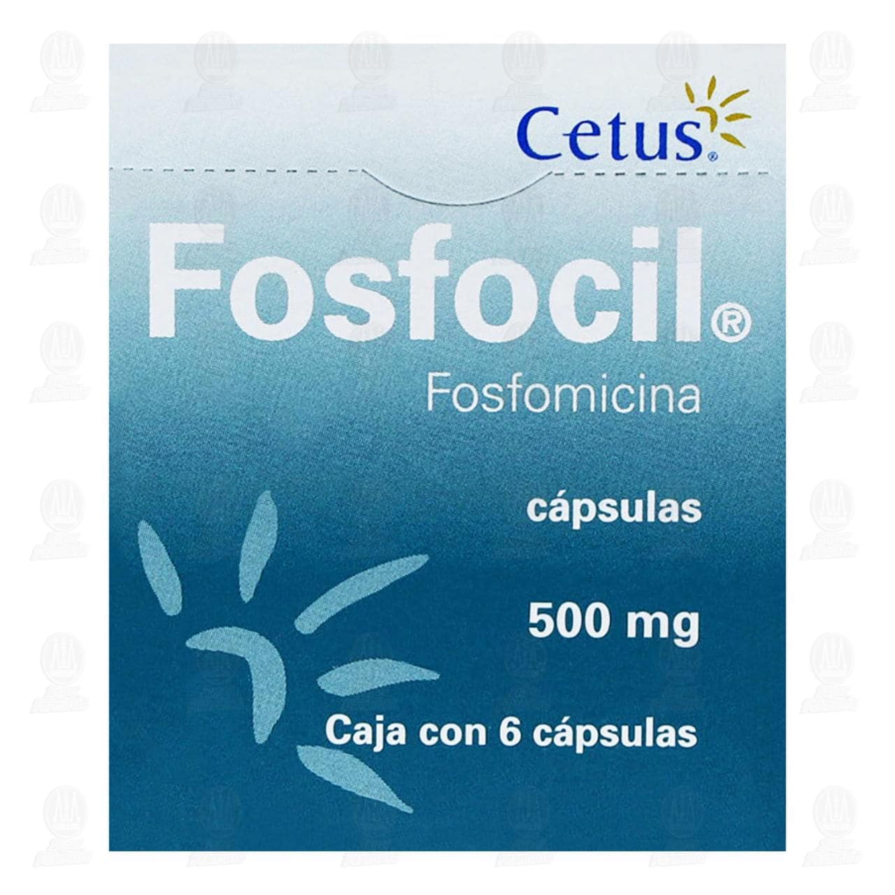 Fosfocil 500 mg, 6 C&aacute;psulas. image number 1