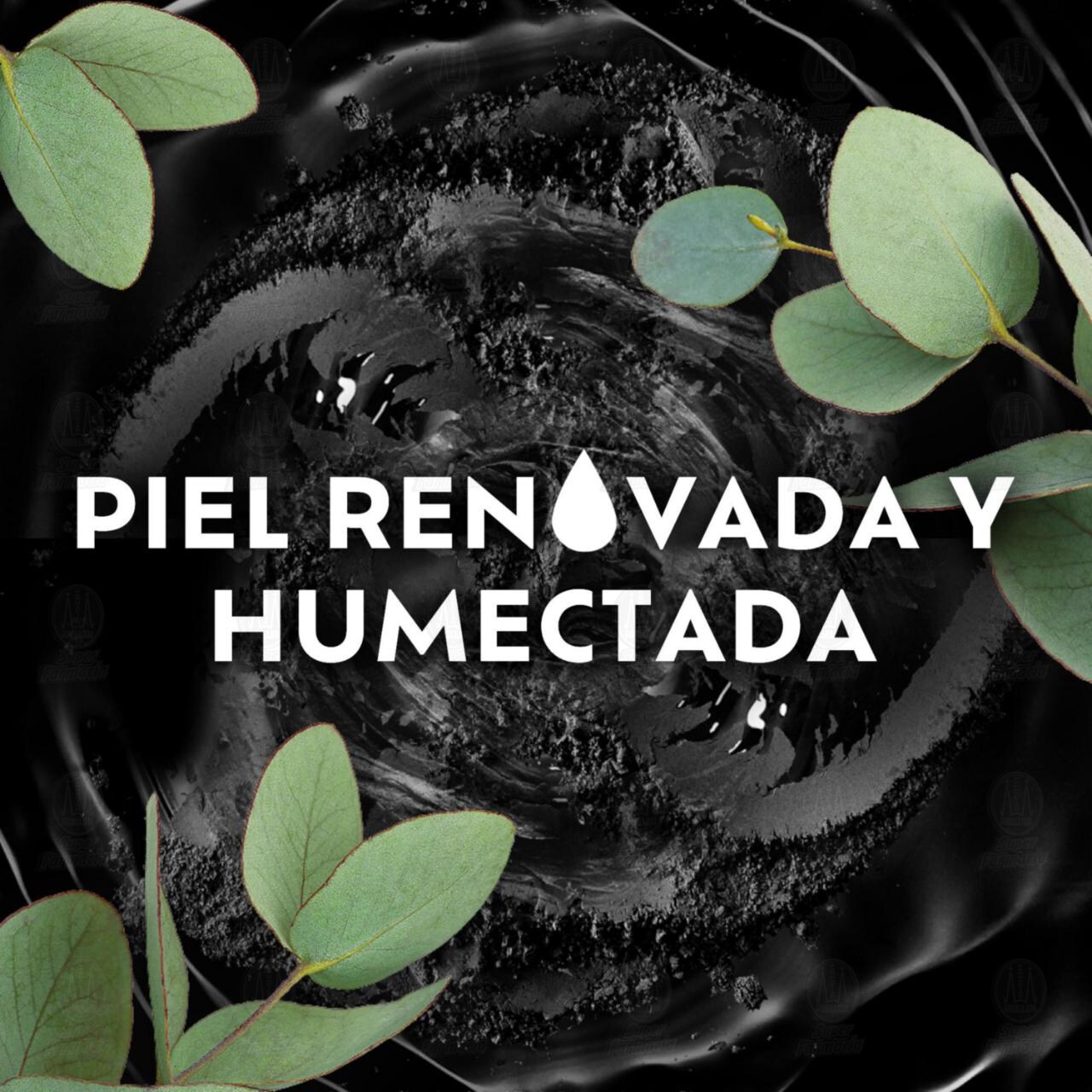 Jab&oacute;n en Barra Palmolive Naturals Sensaci&oacute;n Purificante Arcilla Negra y Aceite de Eucalipto, 120 gr. image number 4