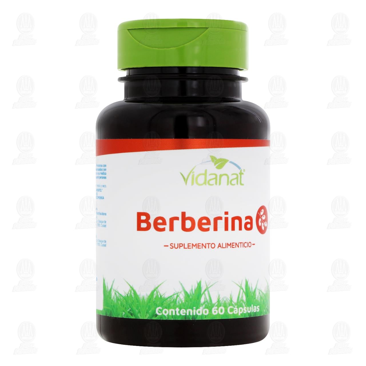Imagen para Berberina Vidanat Suplemento Alimenticio, 60 Cápsulas.