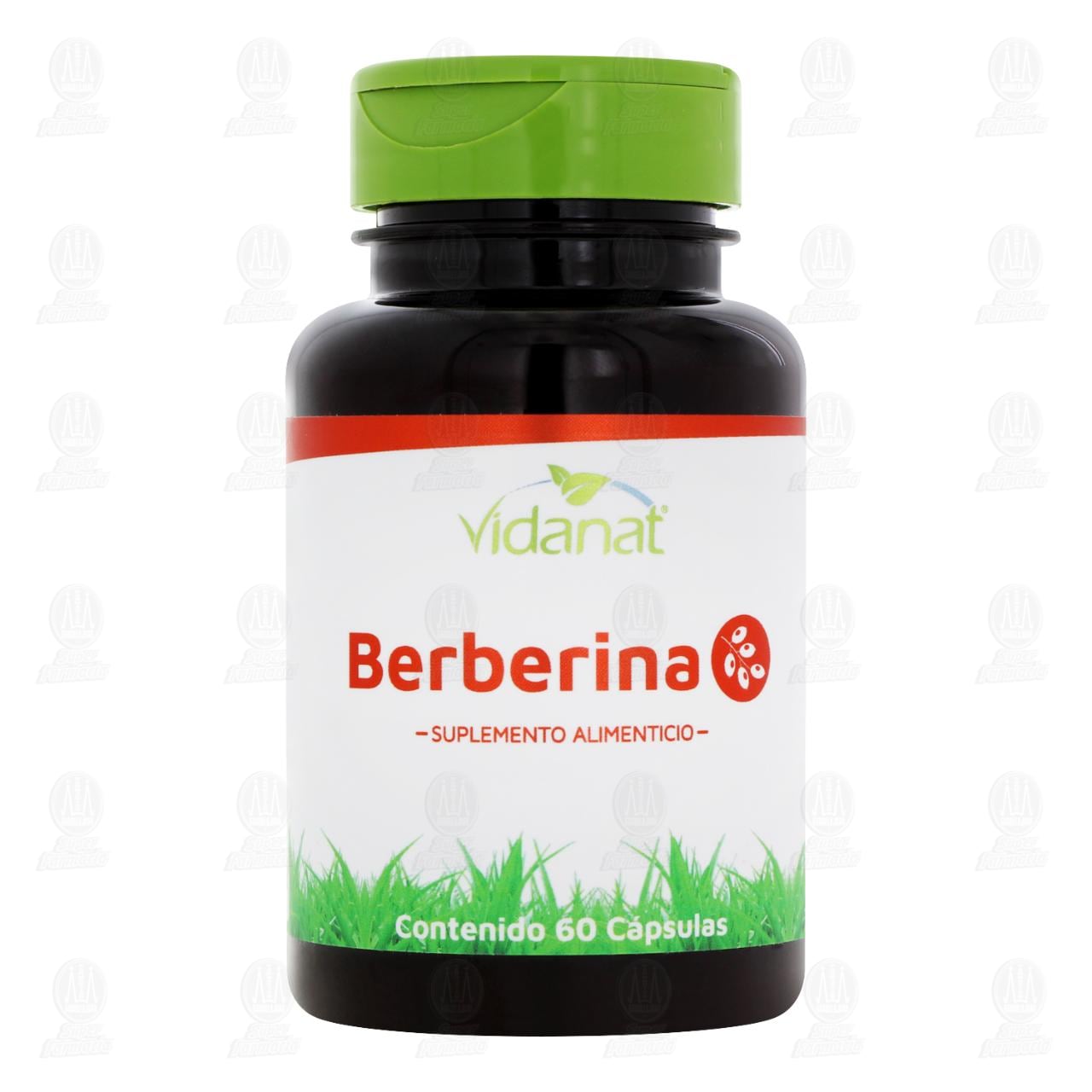 Berberina Vidanat Suplemento Alimenticio, 60 C&aacute;psulas. image number 1