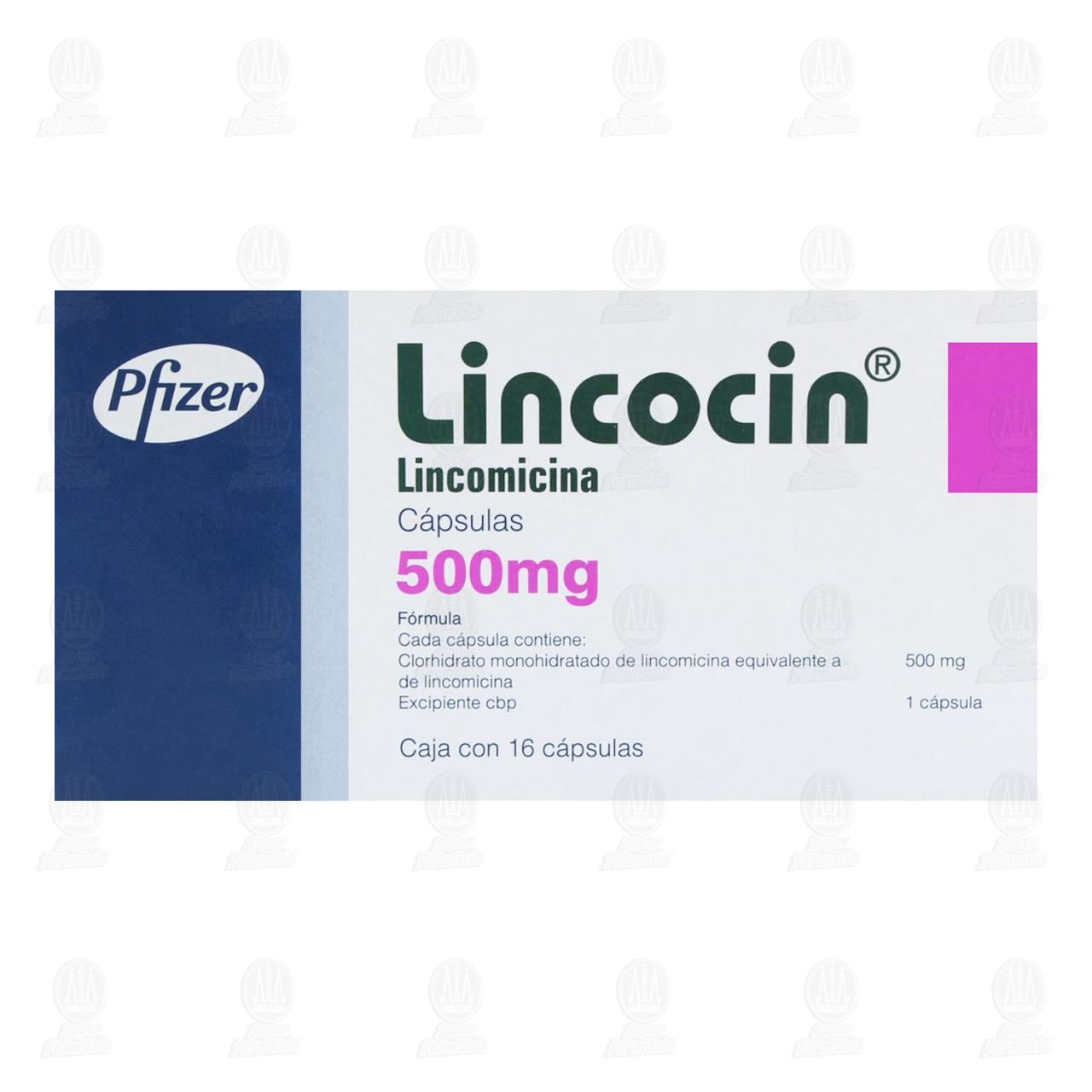 Lincocin 500 mg, 16 C&aacute;psulas. image number 1