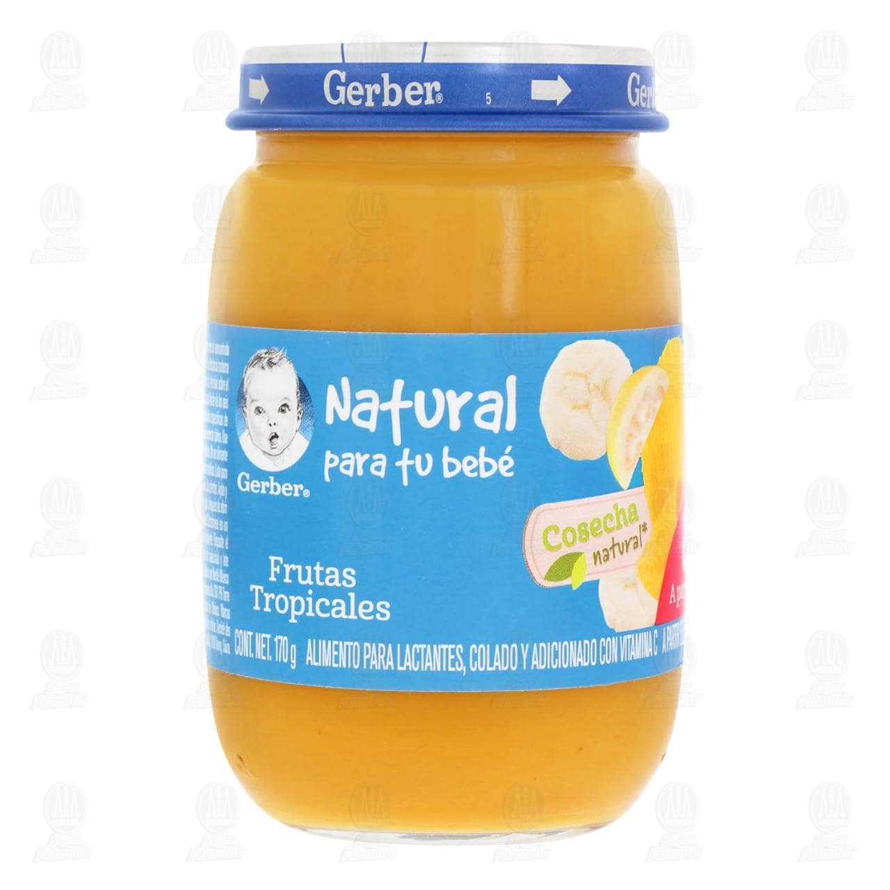 Papilla Gerber de Frutas Tropicales, a Partir de 10 Meses, 170 gr.