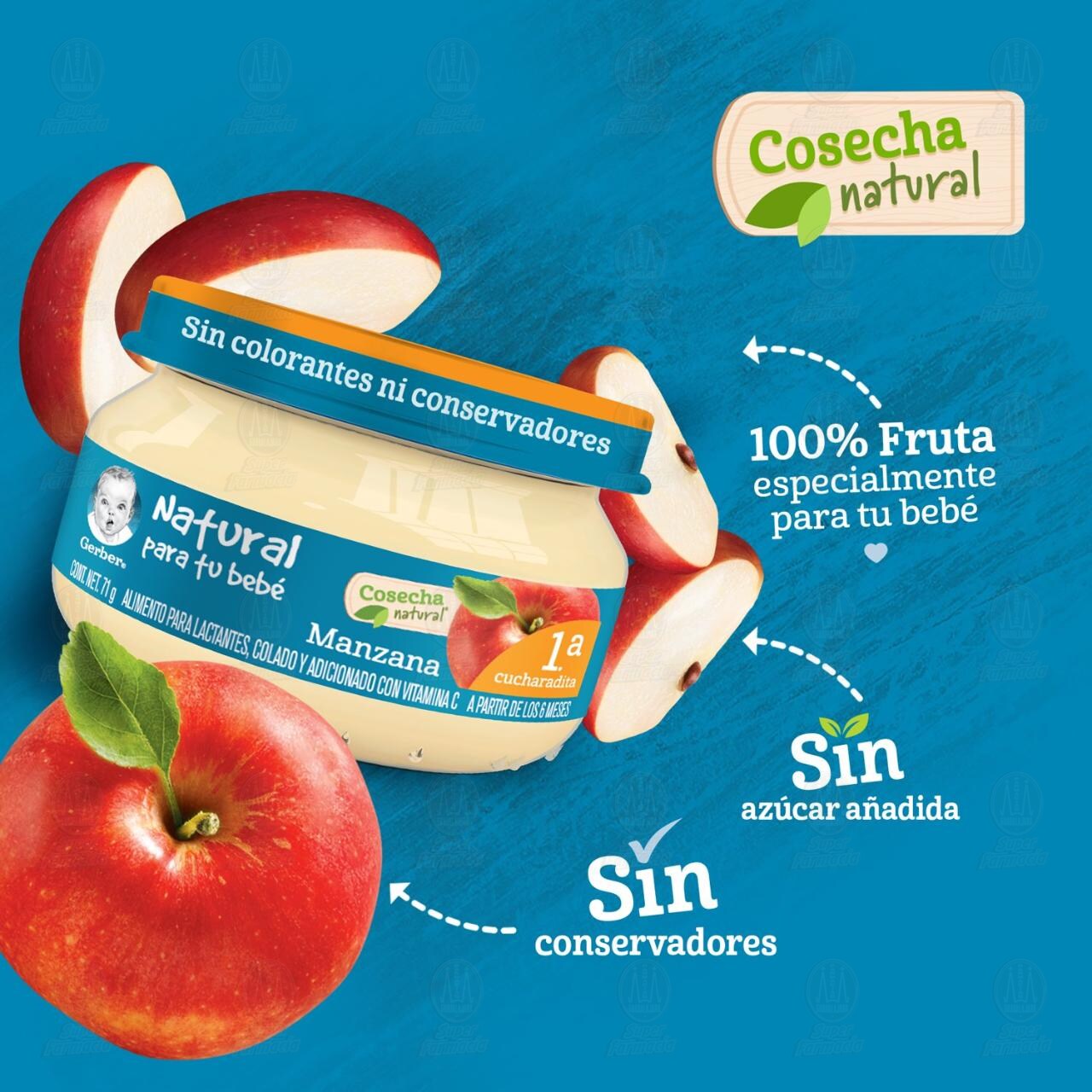 Papilla Gerber Cosecha Natural Etapa 1 Manzana, 71 gr. image number 2