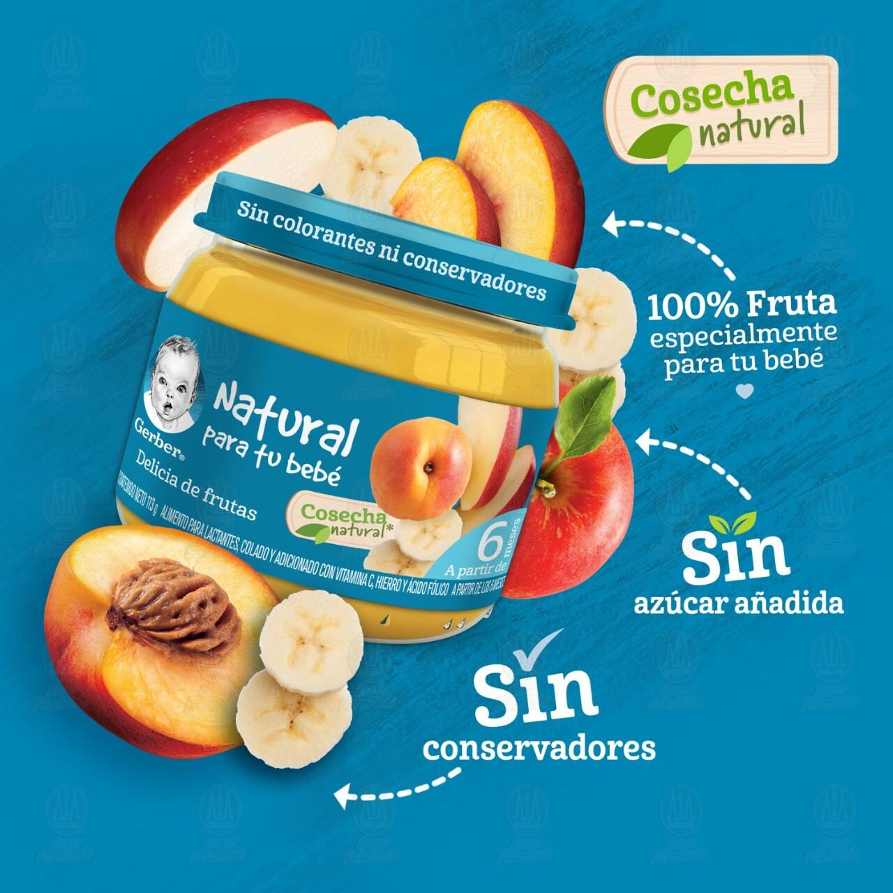 Papilla Gerber Cosecha Natural Etapa 2 Delicia de Frutas, 113 gr. image number 2