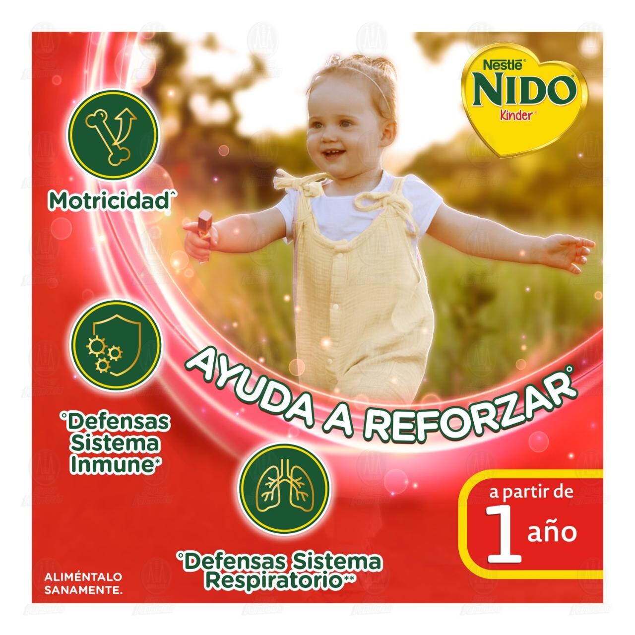Alimento para Ni&ntilde;os Nido Kinder 1+, 360 gr. image number 4