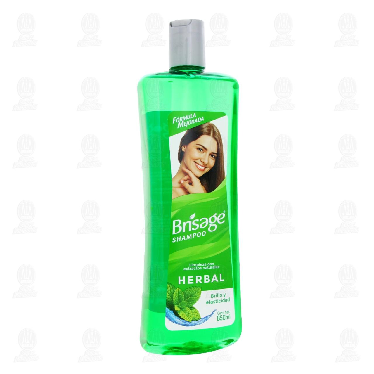 Shampoo Brisage Herbal Brillo y Elasticidad, 850 ml.