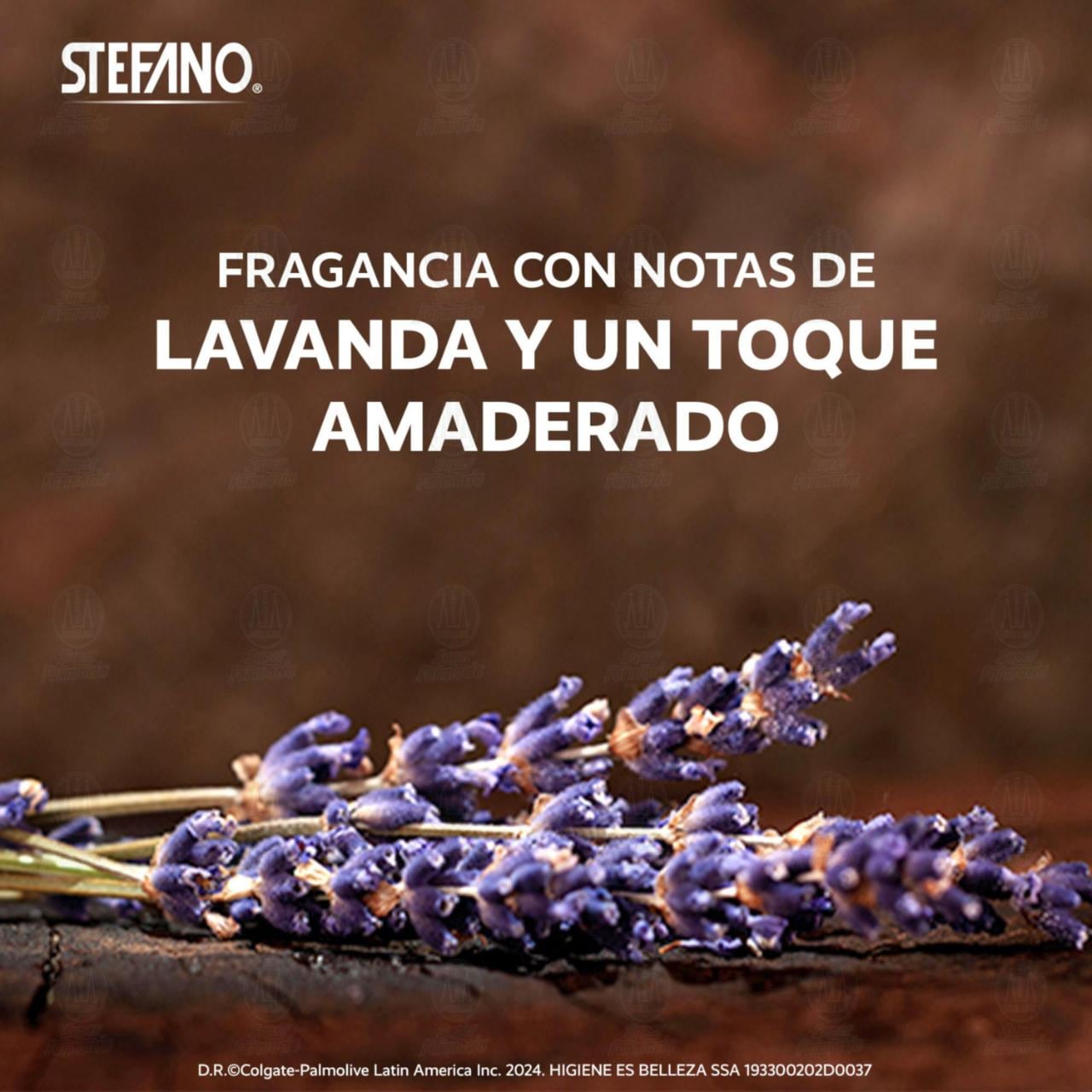 Desodorante Stefano Spazio en Barra, 60 gr. image number 3