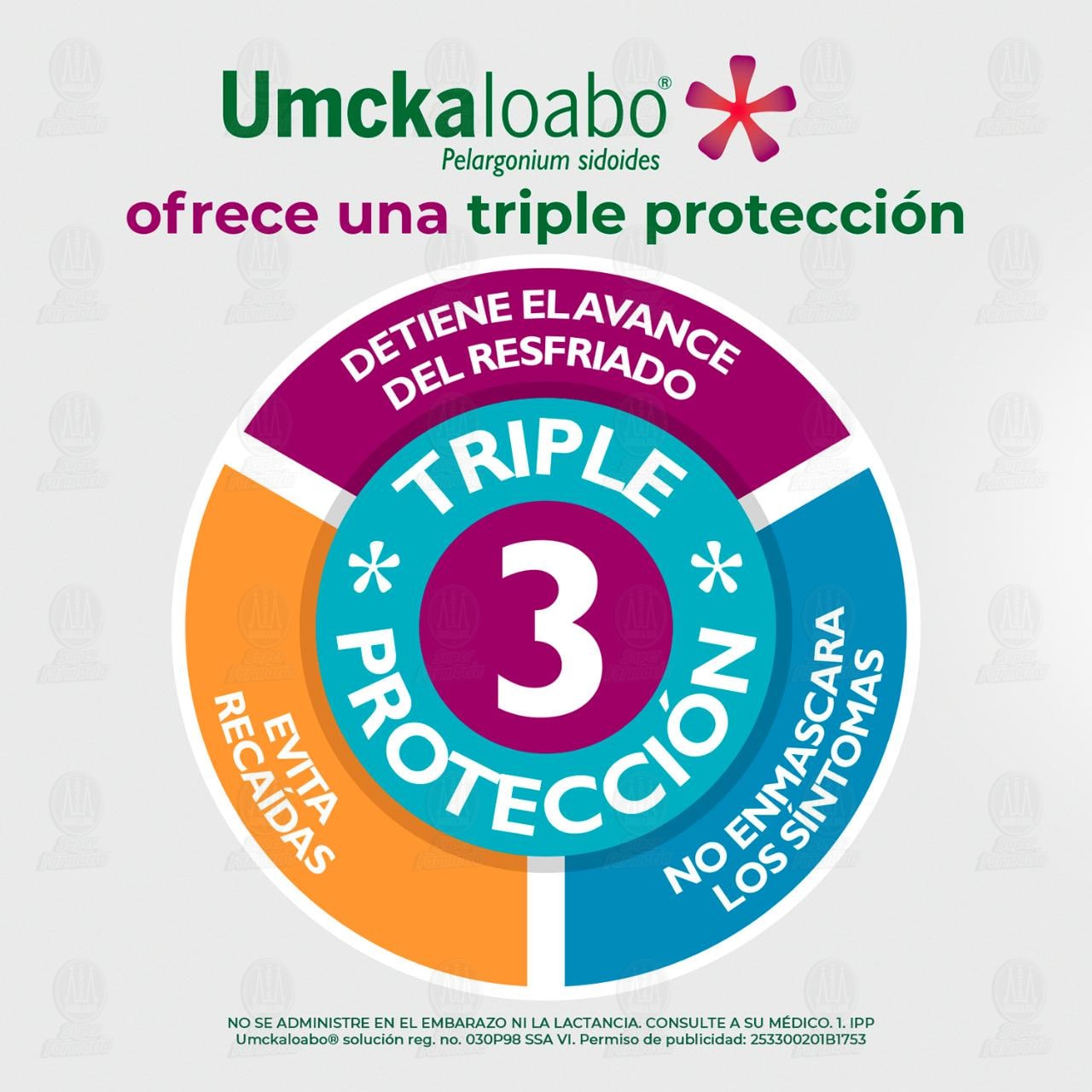 Umckaloabo Soluci&oacute;n, 50 ml. image number 3