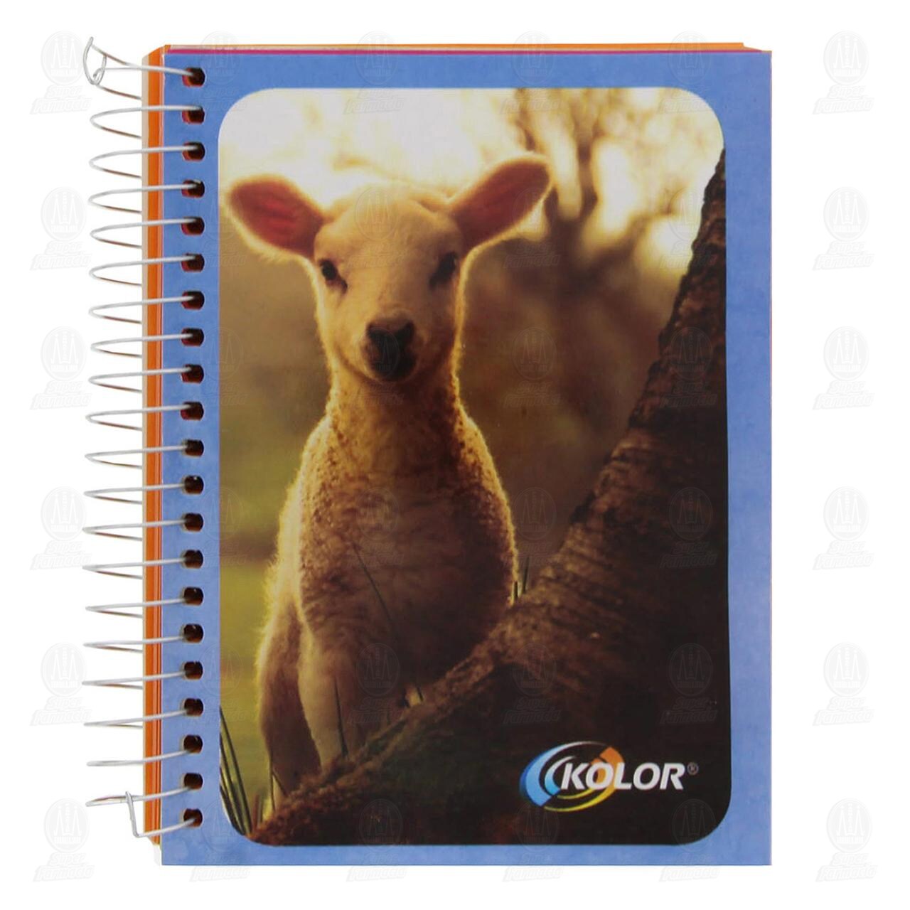 Mini Libreta Kolor de Raya, 1 pz.