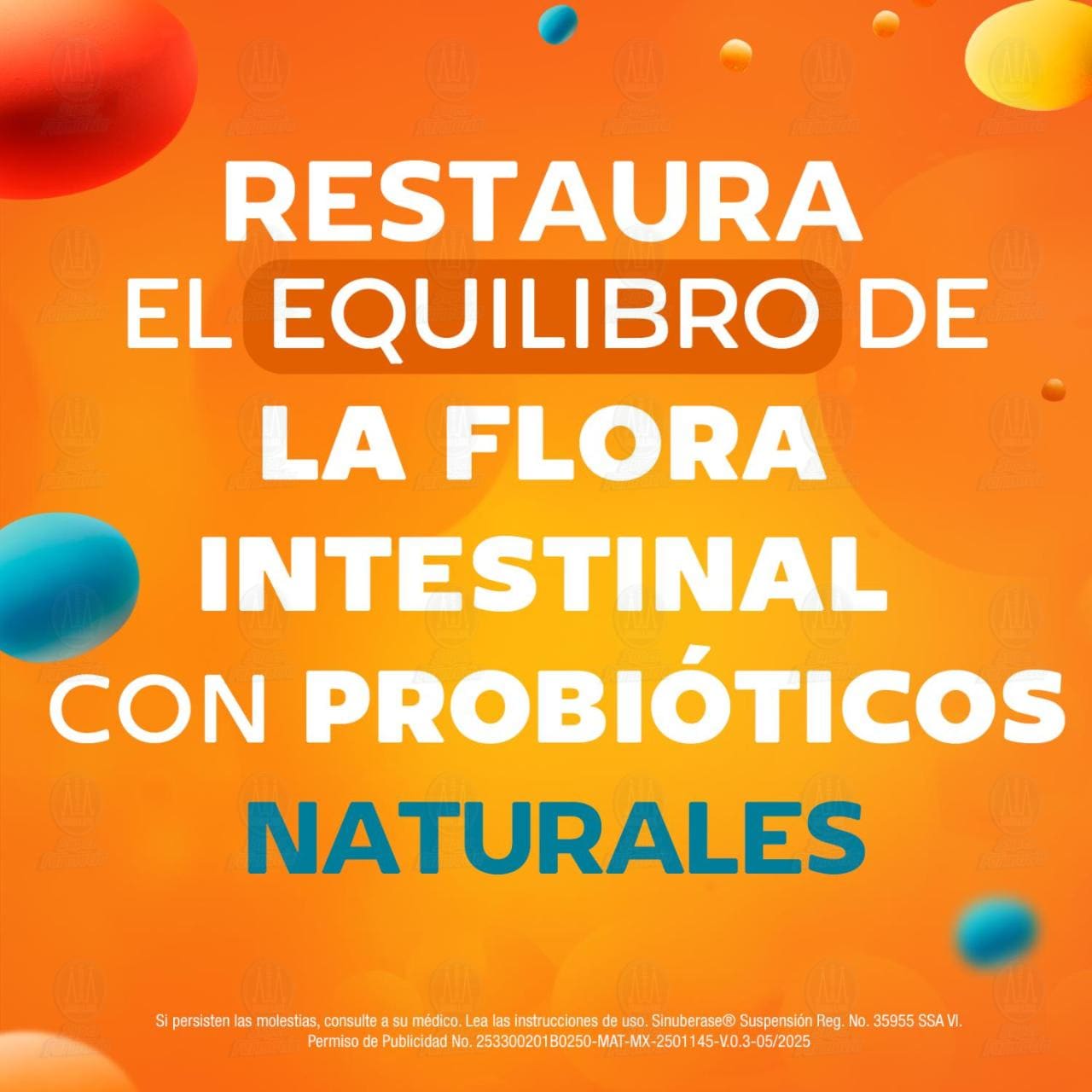 Sinuberase Probióticos Suspensión Basillus Clausii 2 Billones de UFC, 10 Ampolletas. image number 3