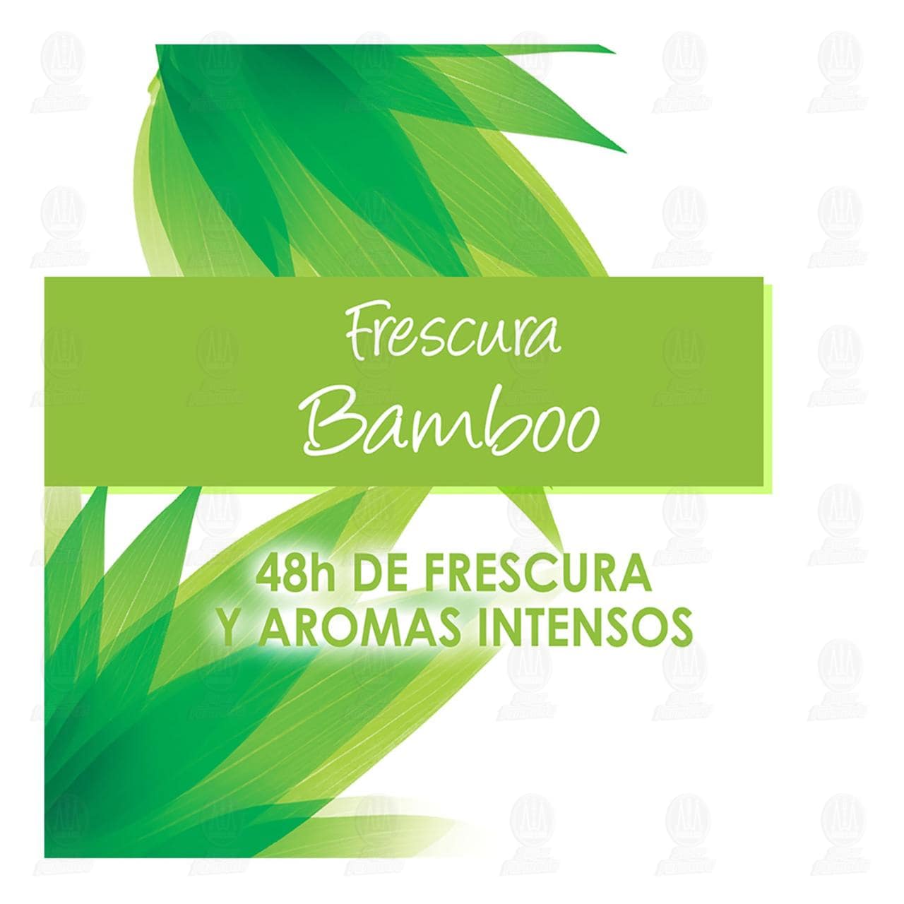 Desodorante + Antitranspirante Garnier Obao Bamboo Roll-On, 65 gr. image number 2